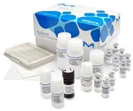 تصویر کیت‌ های ELISA (ENZYME-LINKED IMMUNOSORBENT ASSAY KITS) از تجهیزات sigma