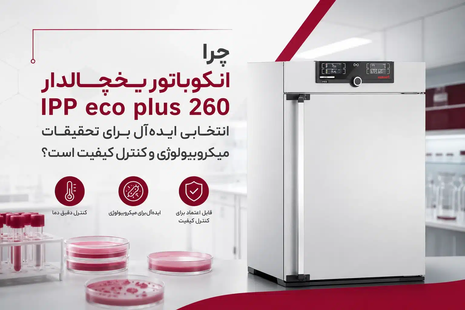 چرا انکوباتور یخچالدار IPP eco plus 260 انتخابی ایده‌آل برای تحقیقات میکروبیولوژی و کنترل کیفیت است؟